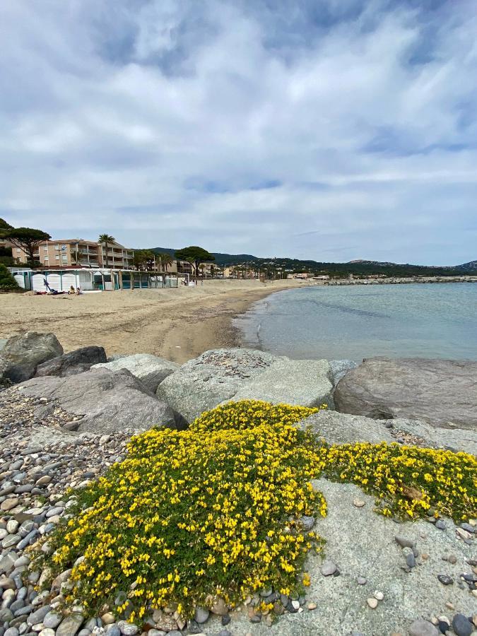 Studio 150 M De Plage Golfe De Saint-Tropez Кавалер-сюр-Мер Екстер'єр фото